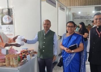 चूल्हा-बर्तन तक रूकी जिंदगी को मिली नई राह, अब गांव की महिलाएं देशभर में बेच रही जैविक उत्पाद