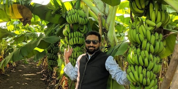 खेती की तरफ बढ़ा रुझान, परिवेश ने बीस लाख के सलाना पैकेज की नौकरी छोड़ पैदा करने लगे फल और सब्जी