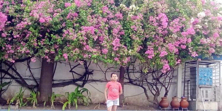 बदलते मौसम का असर..रंग-बिरंगी फूलों ने बदला मौसम का मिजाज..