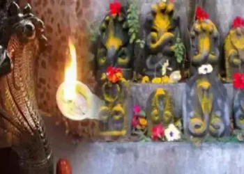 नागपंचमी 29 को, कालसर्प दोष की शांति और रुद्राभिषेक के शुभ योग