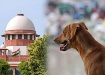 आवारा कुत्तों के मुद्दे पर सुप्रीम कोर्ट में तल्खी, अब फैसला जल्द”