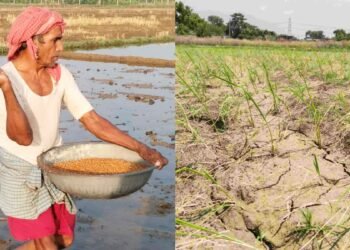 Bharatiya Kisan Sangh किसानों की मांगों को लेकर, भारतीय किसान संघ 13 अक्टूबर को मुख्यमंत्री निवास का करेंगे घेराव