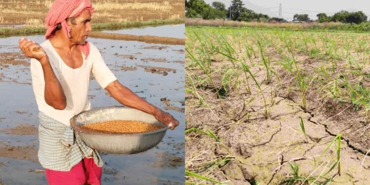 Bharatiya Kisan Sangh किसानों की मांगों को लेकर, भारतीय किसान संघ 13 अक्टूबर को मुख्यमंत्री निवास का करेंगे घेराव