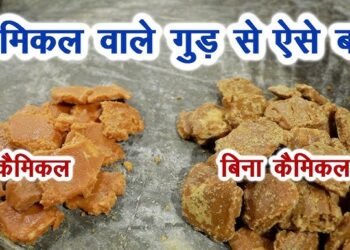 खरा या मिलावटी गुड़? घर पर करें ये 5 आसान टेस्ट और तुरंत जानें असली गुड़ की पहचान
