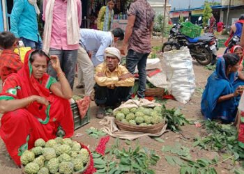 “सीताफल आइसक्रीम: स्वरोजगार और आर्थिक सशक्तिकरण की नई राह”