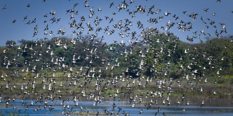 कोपरा जलाशय को राज्य का पहला रामसर साइट घोषित किया जाना छत्तीसगढ़ के लिए गर्व का क्षण: मुख्यमंत्री विष्णु देव साय