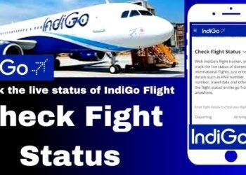 LIVE: विमानबंदी से परेशान यात्री, इंडिगो के CEO ने बताया, हालात कब तक सामान्य होंगे