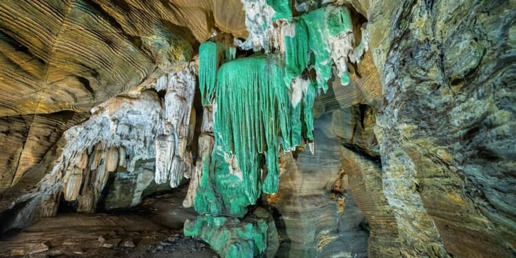 तैयार हो जाइए छत्तीसगढ़ की इस अनोखी ‘हरी’ दुनिया को देखने के लिए…