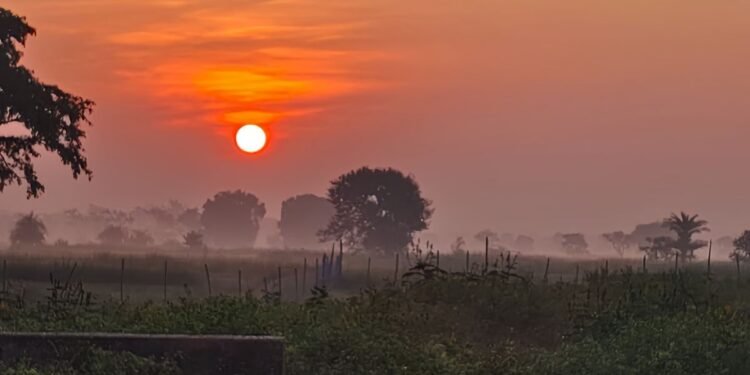 48 घंटों में सुबह व रात को बढ़ेगी ठंड, 4 दिनों से रायपुर सबसे ज्यादा गर्म