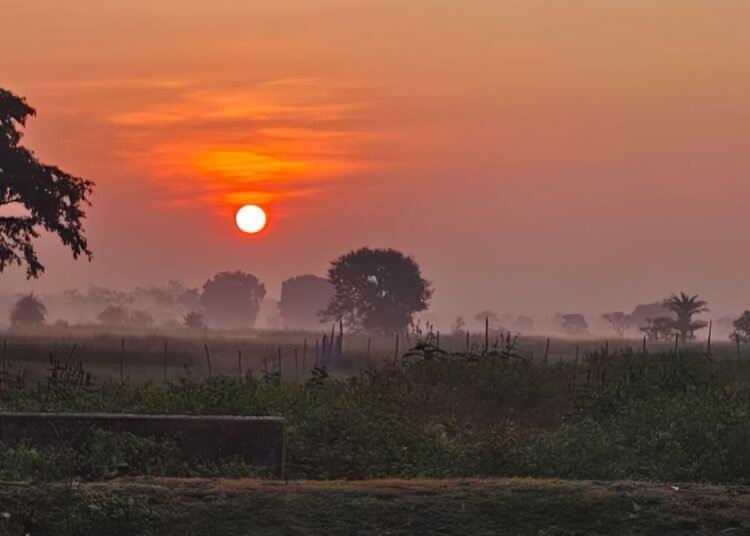 48 घंटों में सुबह व रात को बढ़ेगी ठंड, 4 दिनों से रायपुर सबसे ज्यादा गर्म