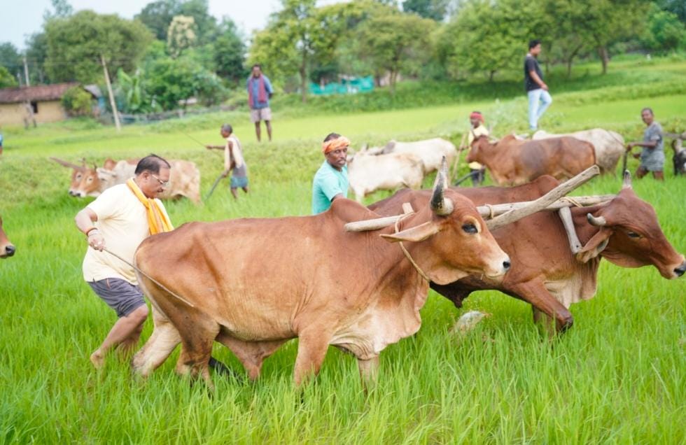 बगिया के खेत में सीएम साय ने चलाया हल: बोले- किसान परिवार से हूं, खेती मेरे लिए जीवन का संस्कार, किसानों को किया नमन